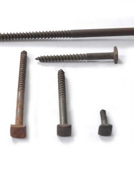 Coach Screw