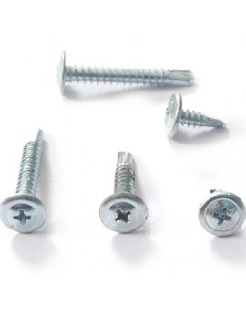 Truss Philips Head